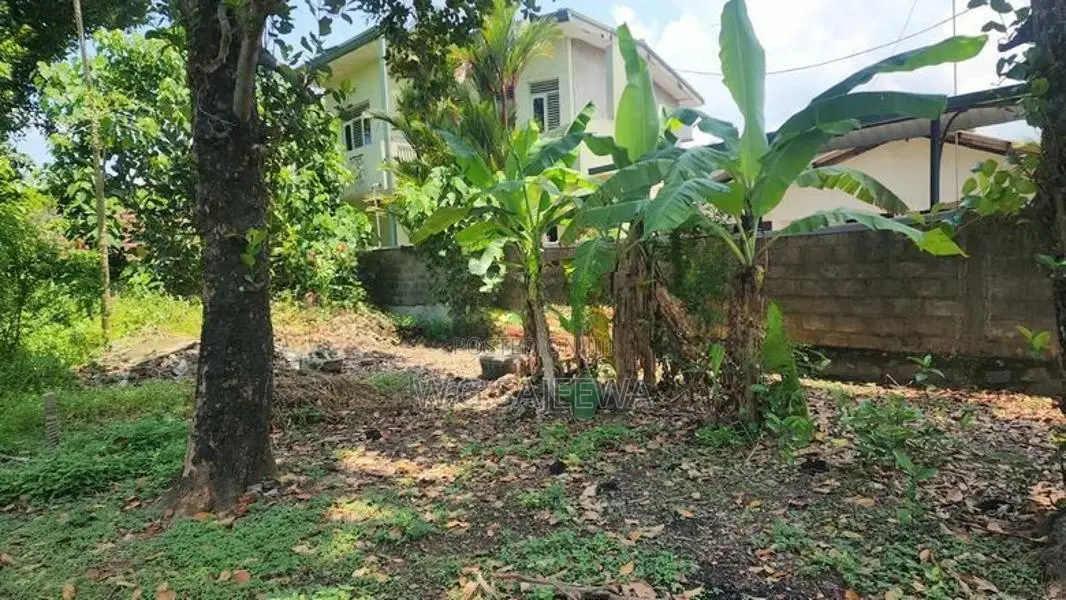 6 Perch Valuable Land for Sale in Wattala