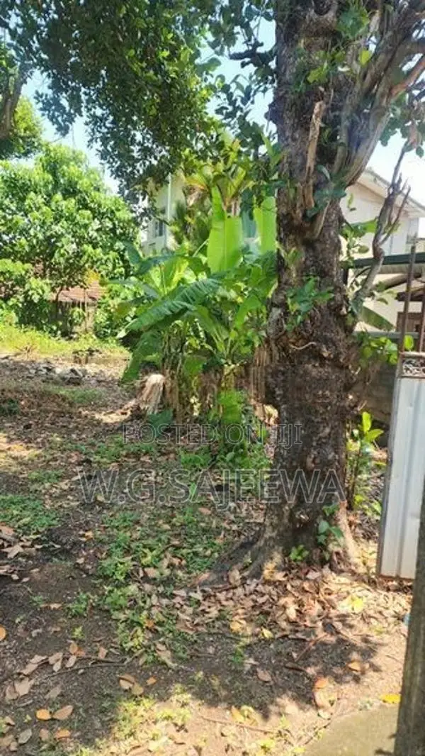 6 Perch Valuable Land for Sale in Wattala