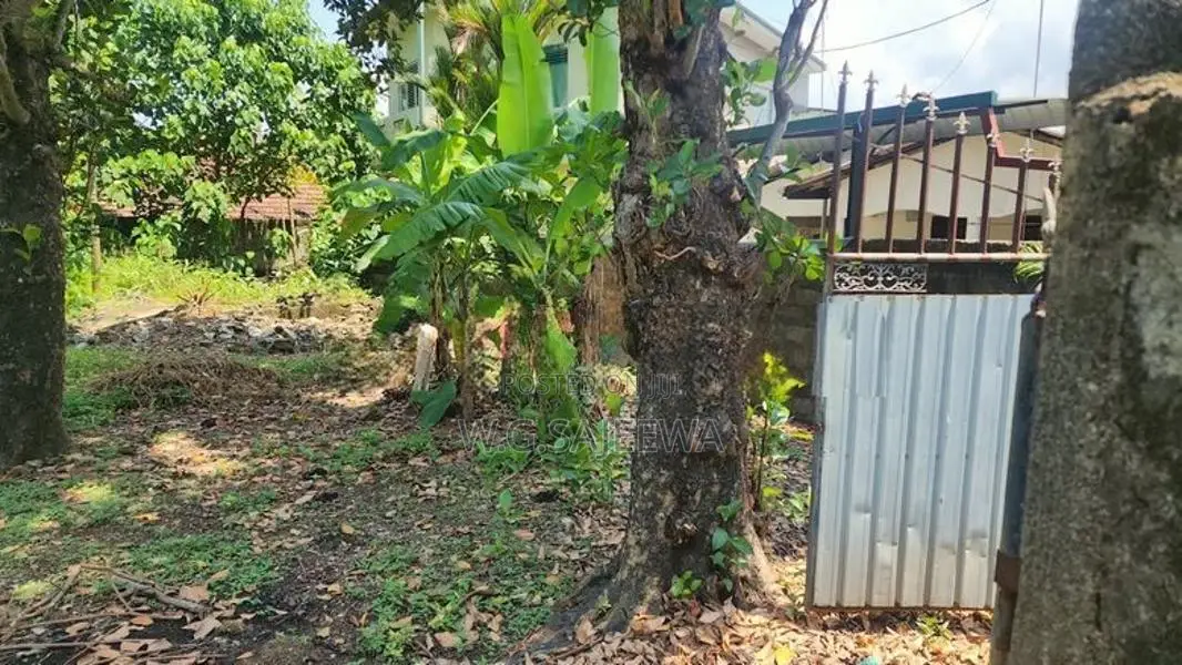 6 Perch Valuable Land for Sale in Wattala