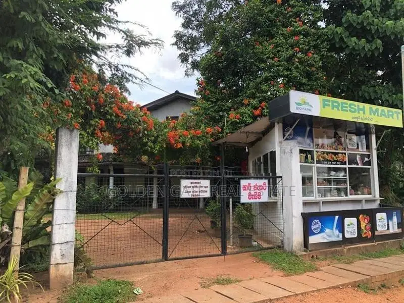 Pasyala Prime Commercial Land for Sale