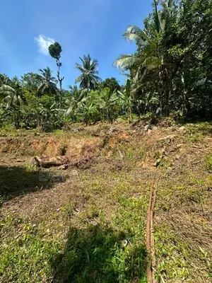 පස්යාල/ නුවර පාරට නුදුරින් පර්චස් 88ක ඉඩමක් විකිනීමට