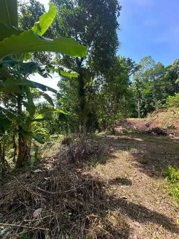 පස්යාල/ නුවර පාරට නුදුරින් පර්චස් 88ක ඉඩමක් විකිනීමට