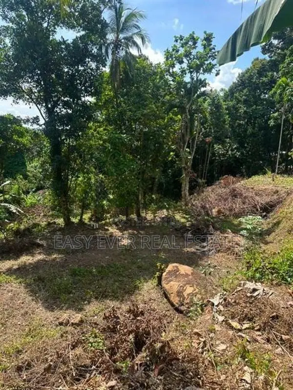 පස්යාල/ නුවර පාරට නුදුරින් පර්චස් 88ක ඉඩමක් විකිනීමට