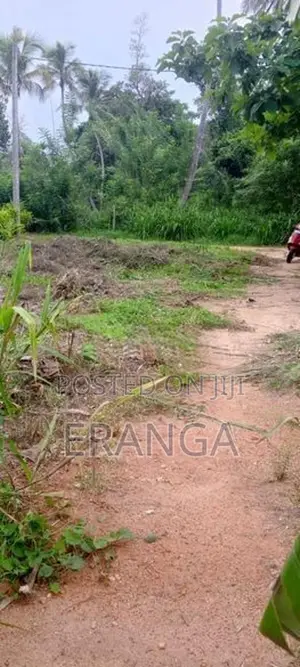 රිදීමාලියද්දෙන් ඉඩමක්