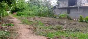 රිදීමාලියද්දෙන් ඉඩමක්