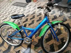 Japanese Adult Bicycle