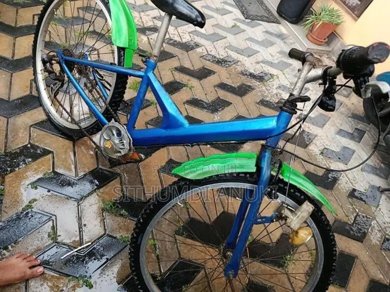 Japanese Adult Bicycle