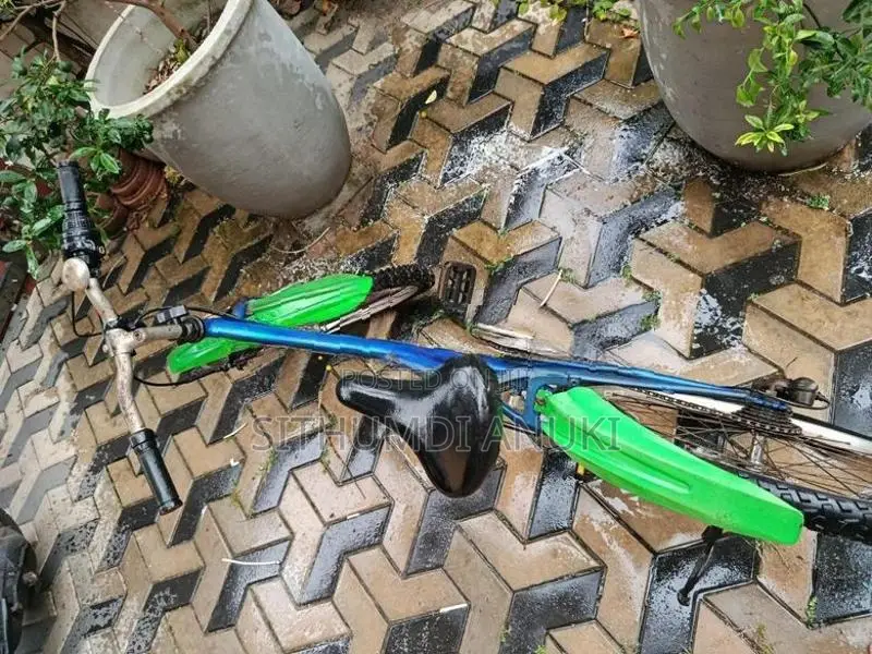Japanese Adult Bicycle