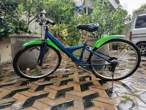 Japanese Adult Bicycle