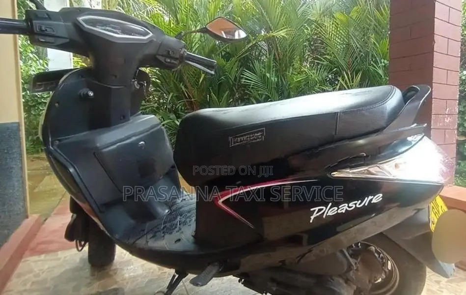Hero Pleasure 2015