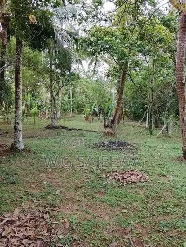100perch land with house for sale Veyangoda