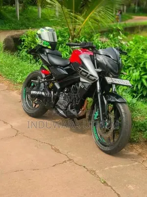 Bajaj Pulsar NS200 2019