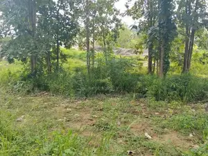 Narammala Land For Sale