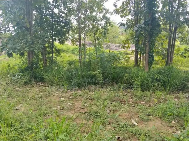Narammala Land For Sale