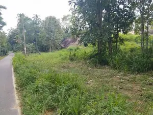 Narammala Land For Sale