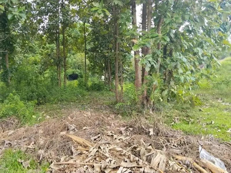 Narammala Land For Sale