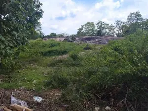 Narammala Land For Sale