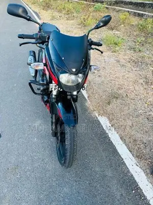 Bajaj Pulsar 150 2019
