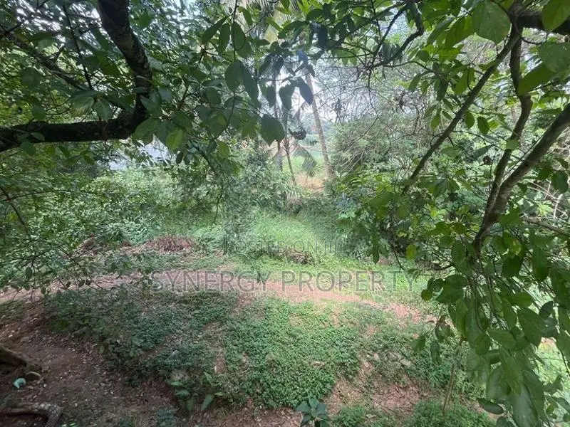 240 Perches Land with Carpet Road Frontage Kaduwela (ML-COMKW-133)