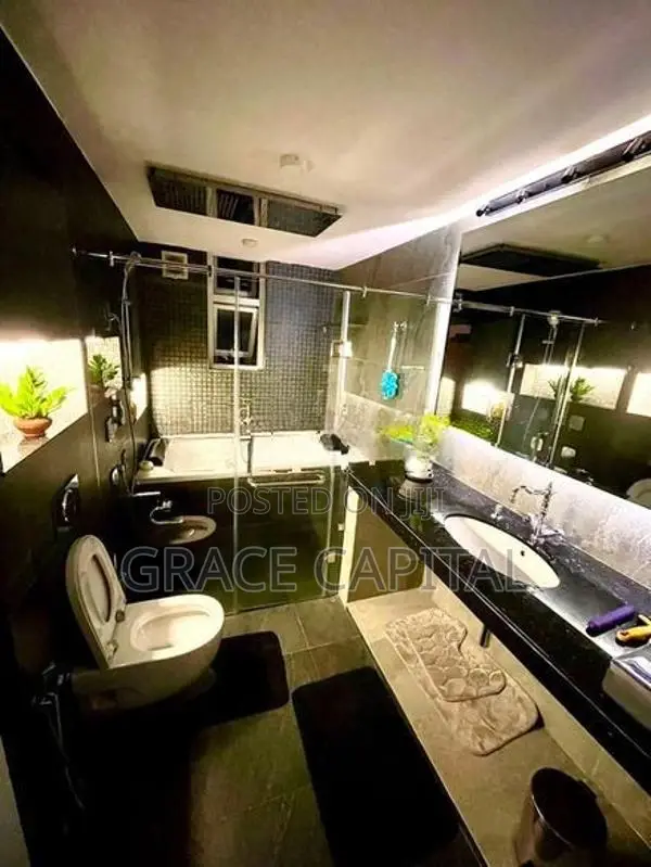 Penthouse for Rent Colombo 5