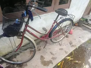 Ladies Bicycle