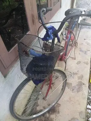 Ladies Bicycle