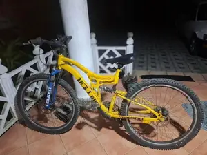 DSI Mountain Bike