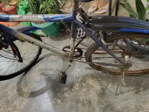 Kenton Bicycle