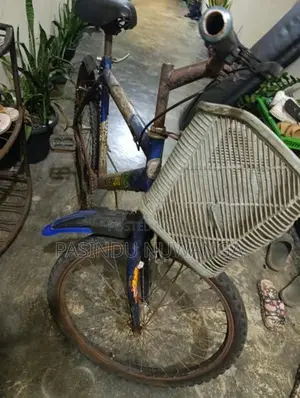 Kenton Bicycle