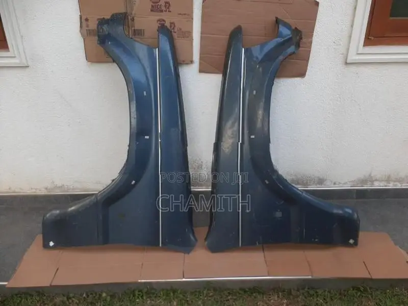 Pajero Fenders