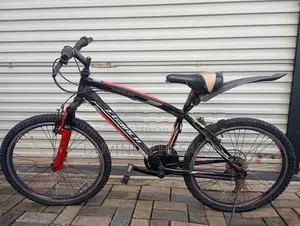 Lumala Honet Bicycle 24"