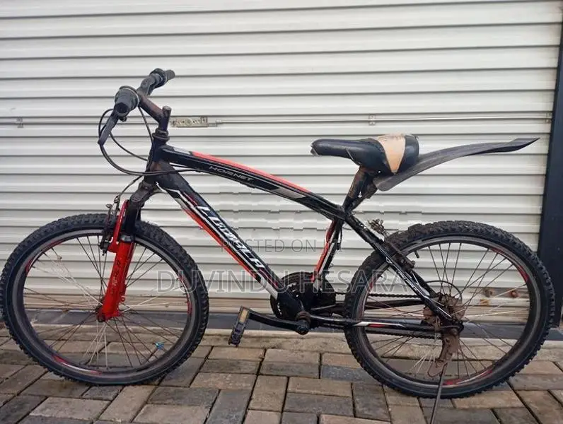Lumala Honet Bicycle 24"