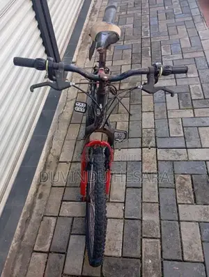 Lumala Honet Bicycle 24"
