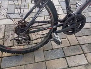 Lumala Honet Bicycle 24"