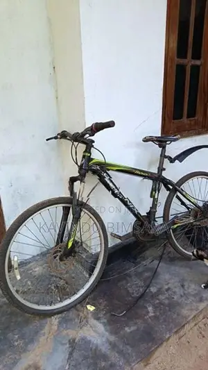Phoenix Bicycle