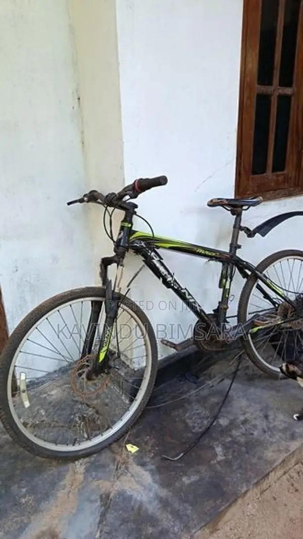 Phoenix Bicycle