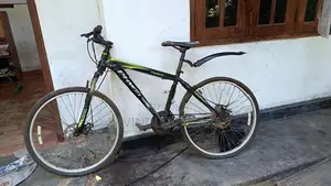 Phoenix Bicycle