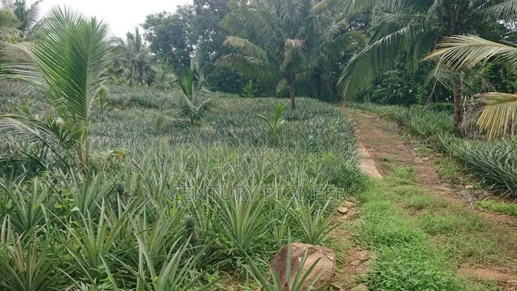 Agricultural Land for Sale in Amithirigala Kirindiwela
