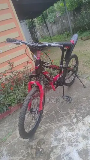 Mountain Bicycle