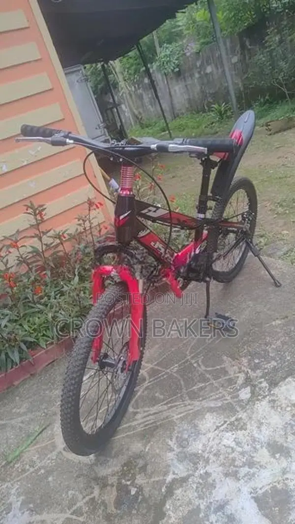Mountain Bicycle
