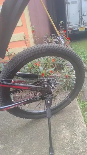 Mountain Bicycle