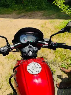 Bajaj Pulsar 150 2013