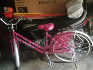 Ladies Bicycle