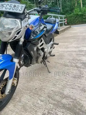 Demak DZM 2017