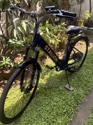 700C Stallion Electric Bicycle