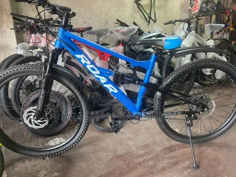 Roar Mountain Bicycle 26'