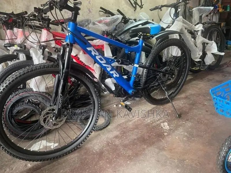 Roar Mountain Bicycle 26'