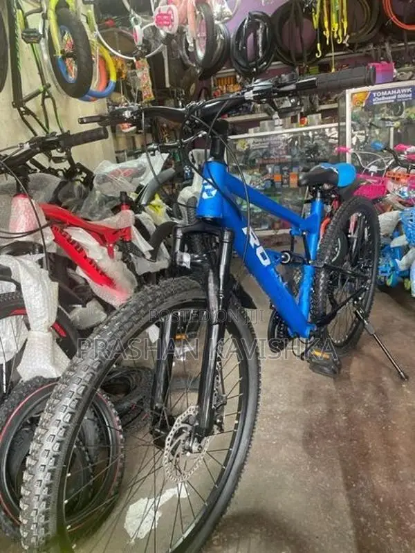 Roar Mountain Bicycle 26'