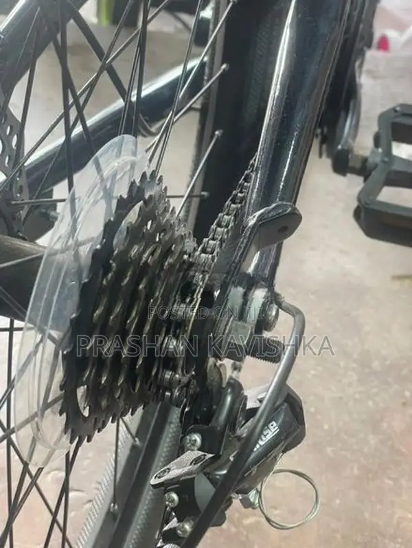 Roar Mountain Bicycle 26'