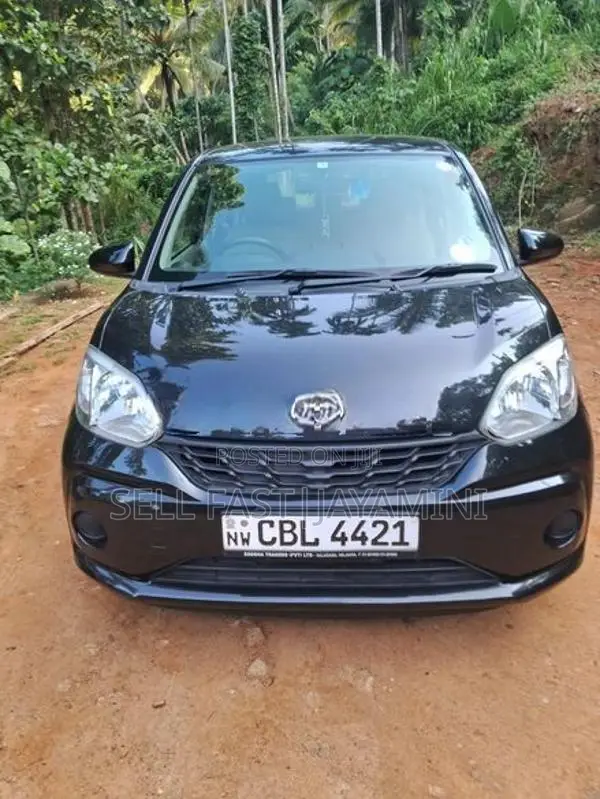 Toyota Passo 2017